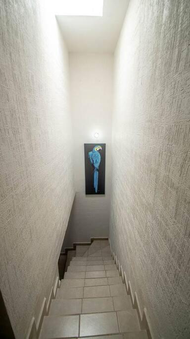 Apartamento Cozy House In